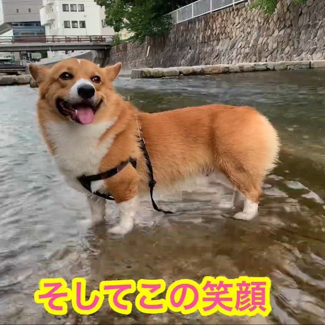 にっこり笑顔のコナン君