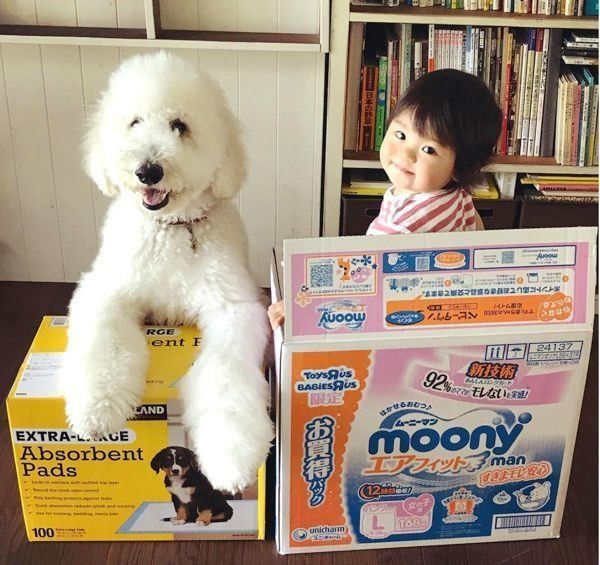 仲良く並ぶがっくん・まめちゃん