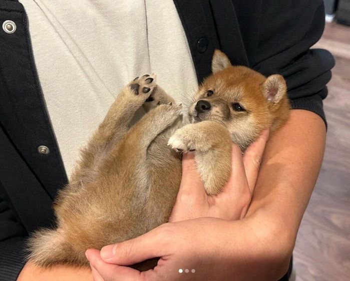 おしり拭き中のたまごちゃん