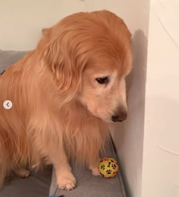 お散歩拒否するエリックくん