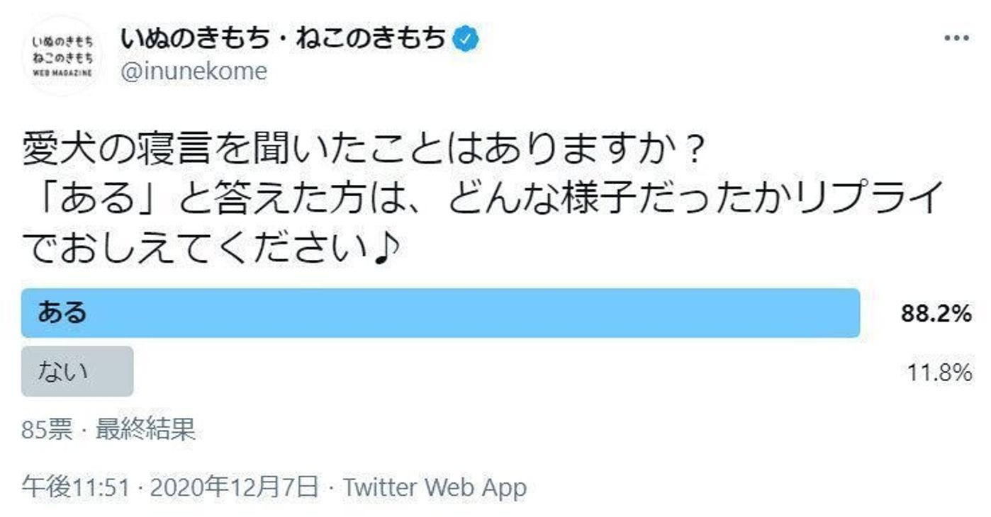 8割の飼い主さんが聞いたことがある 犬の 寝言 を大調査 いぬのきもちweb Magazine 8割の飼い主さんが聞いたことがある 犬の 寝言 を大調査 いぬのきもちweb Magazine