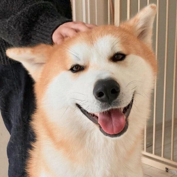 笑顔が可愛い薫くん