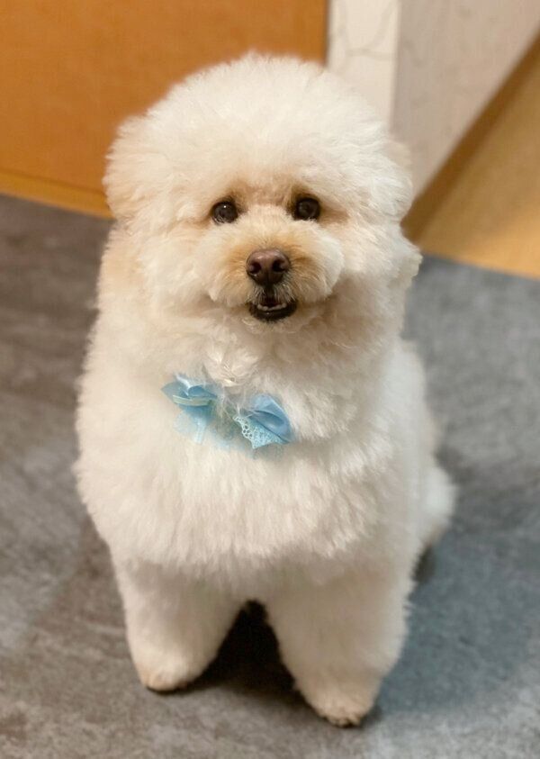 笑顔のぺんたくん