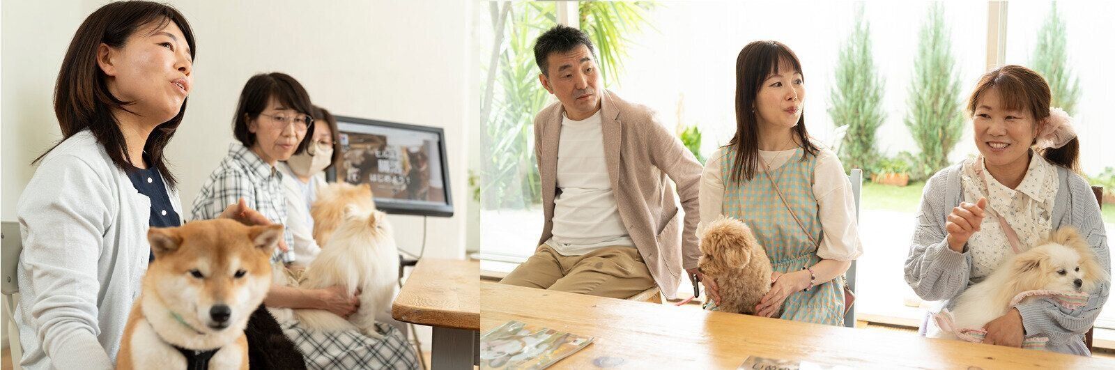 ペットフード　ドッグフード　日本ヒルズ・コルゲート　ヒルズ サイエンス・ダイエット　いぬのきもち　腸活　