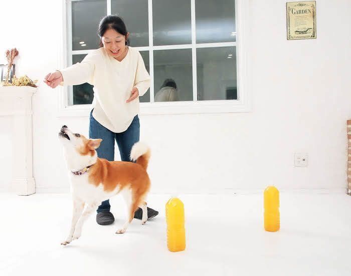 2本にチャレンジ