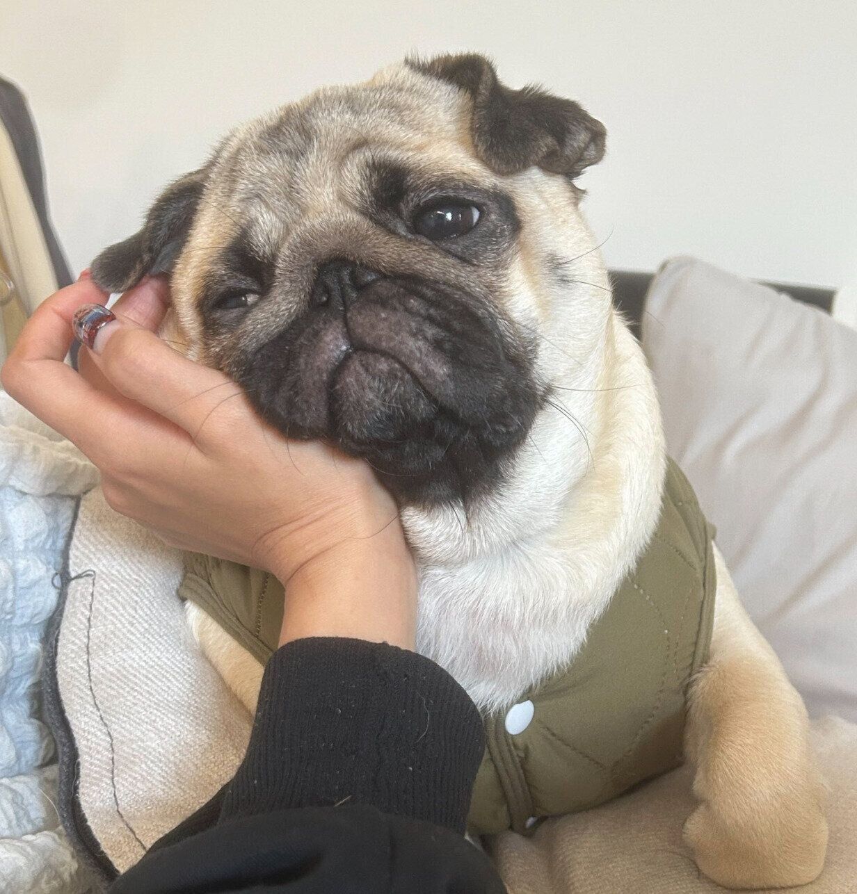 まったりするもろみちゃん