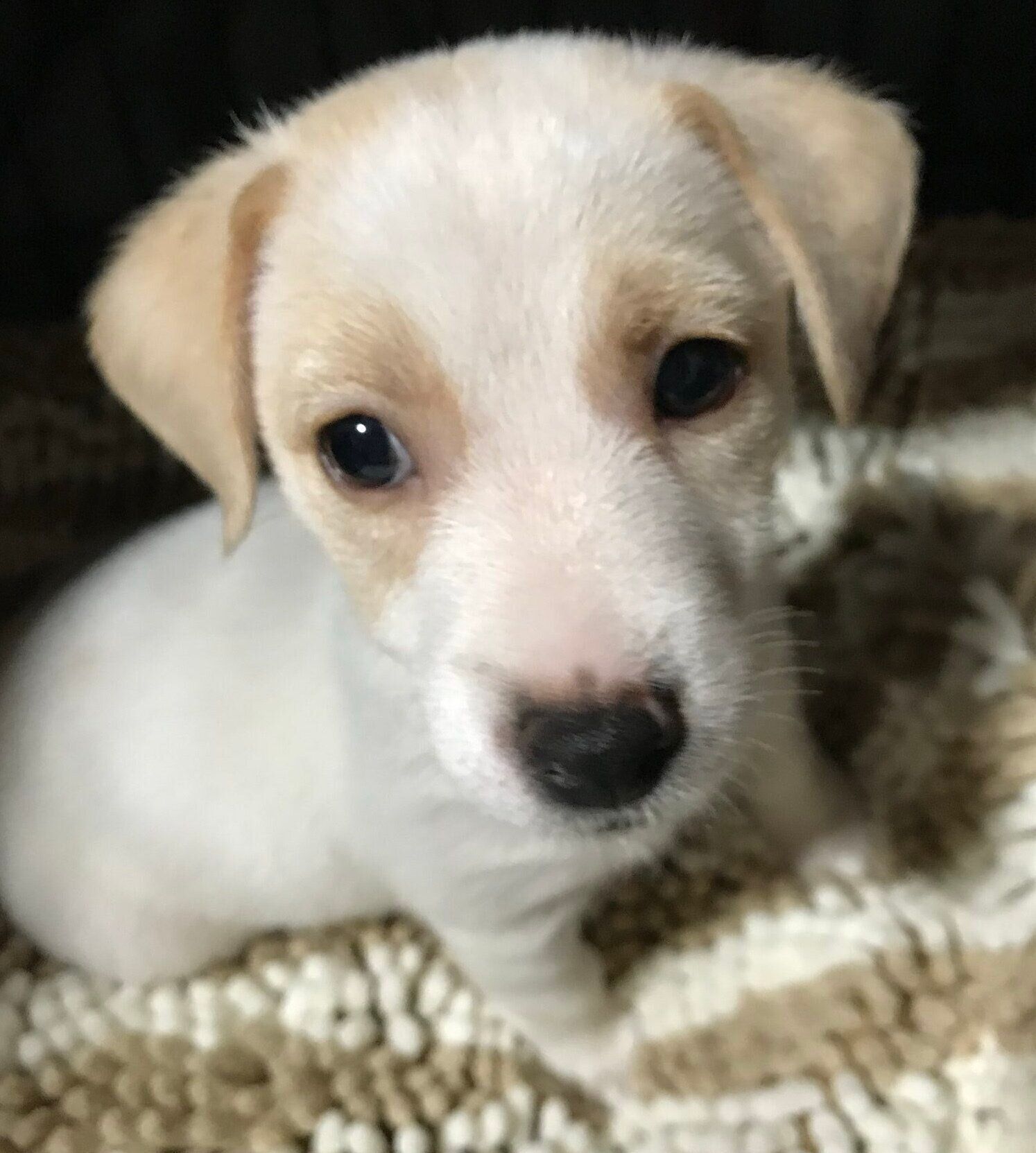 お迎え当時のかんたくん