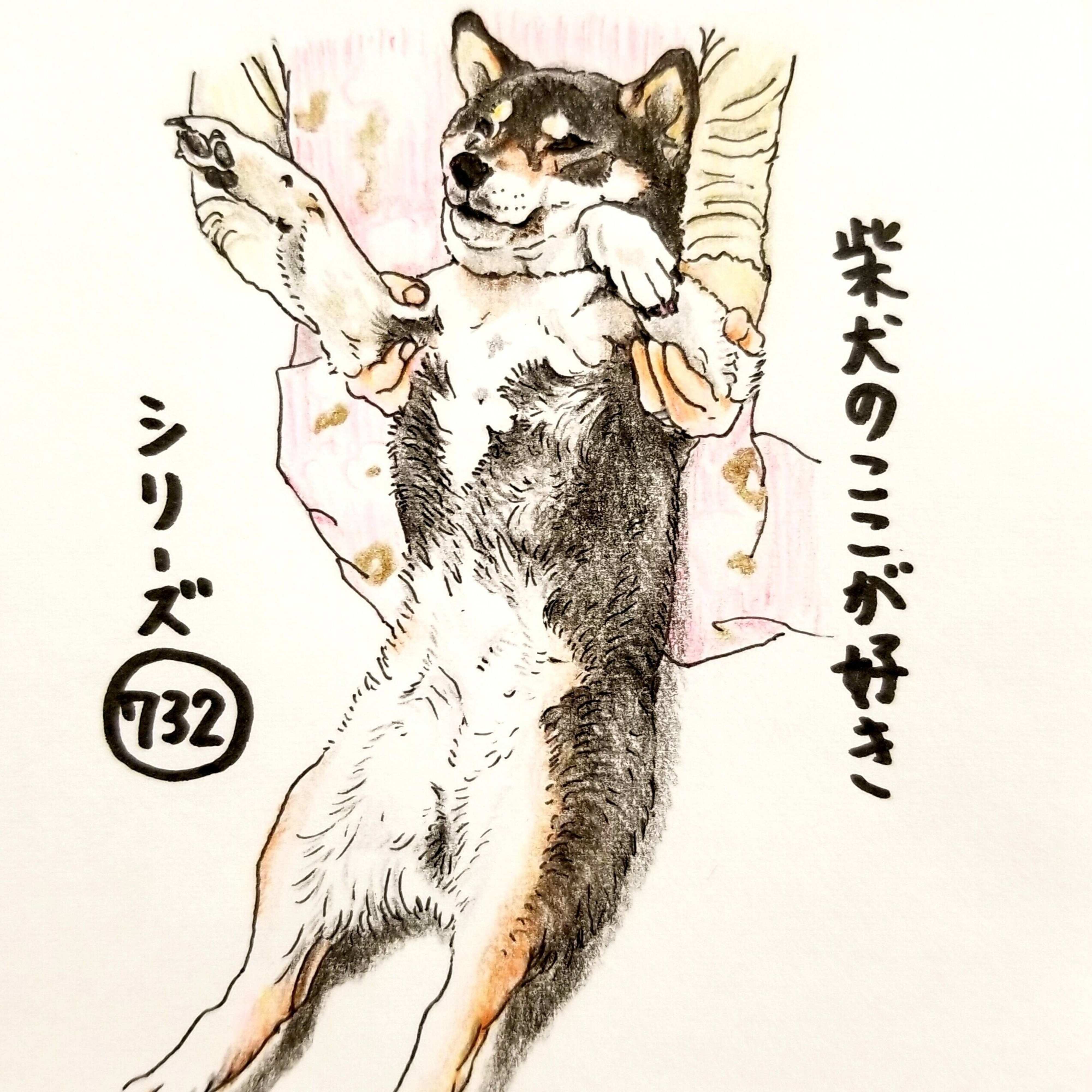 柴犬あるある 伸びをするときめいっぱいピーンッ とすること 連載 ここ掘れここ柴 Vol 132 いぬのきもちweb Magazine 柴犬あるある 伸びをするときめいっぱいピーンッ とすること 連載 ここ掘れここ柴 Vol 132 いぬのきもちweb Magazine