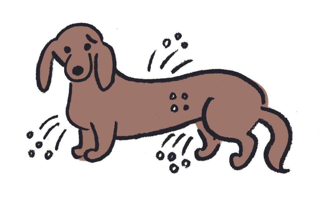 イラスト／オガワナホ