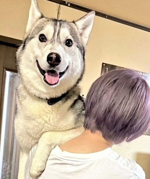 飼い主さんに抱えられるテラちゃん