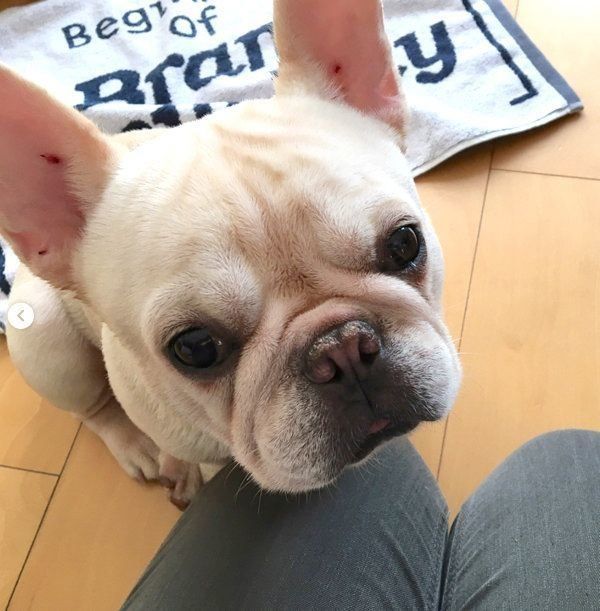 見つめるマシューくん