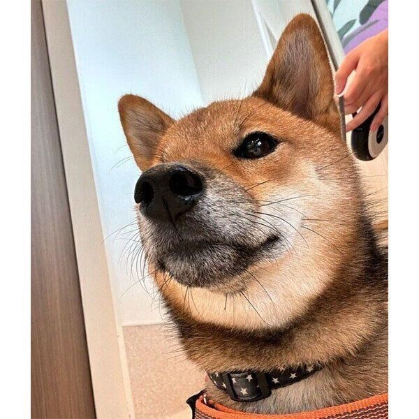 「病院イヤイヤ」を卒業したお嬢ちゃん