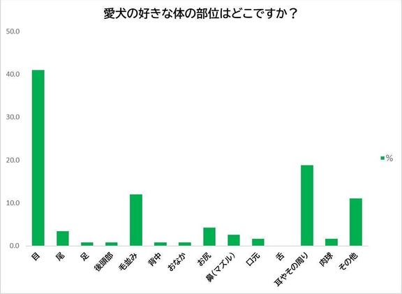 Q.パピヨンの好きな体の部位は?