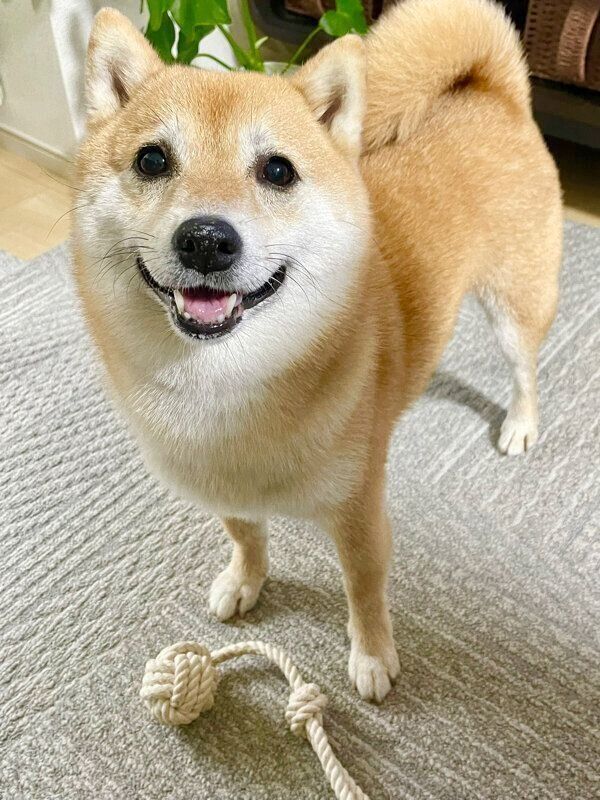 笑顔が可愛いこじろうくん