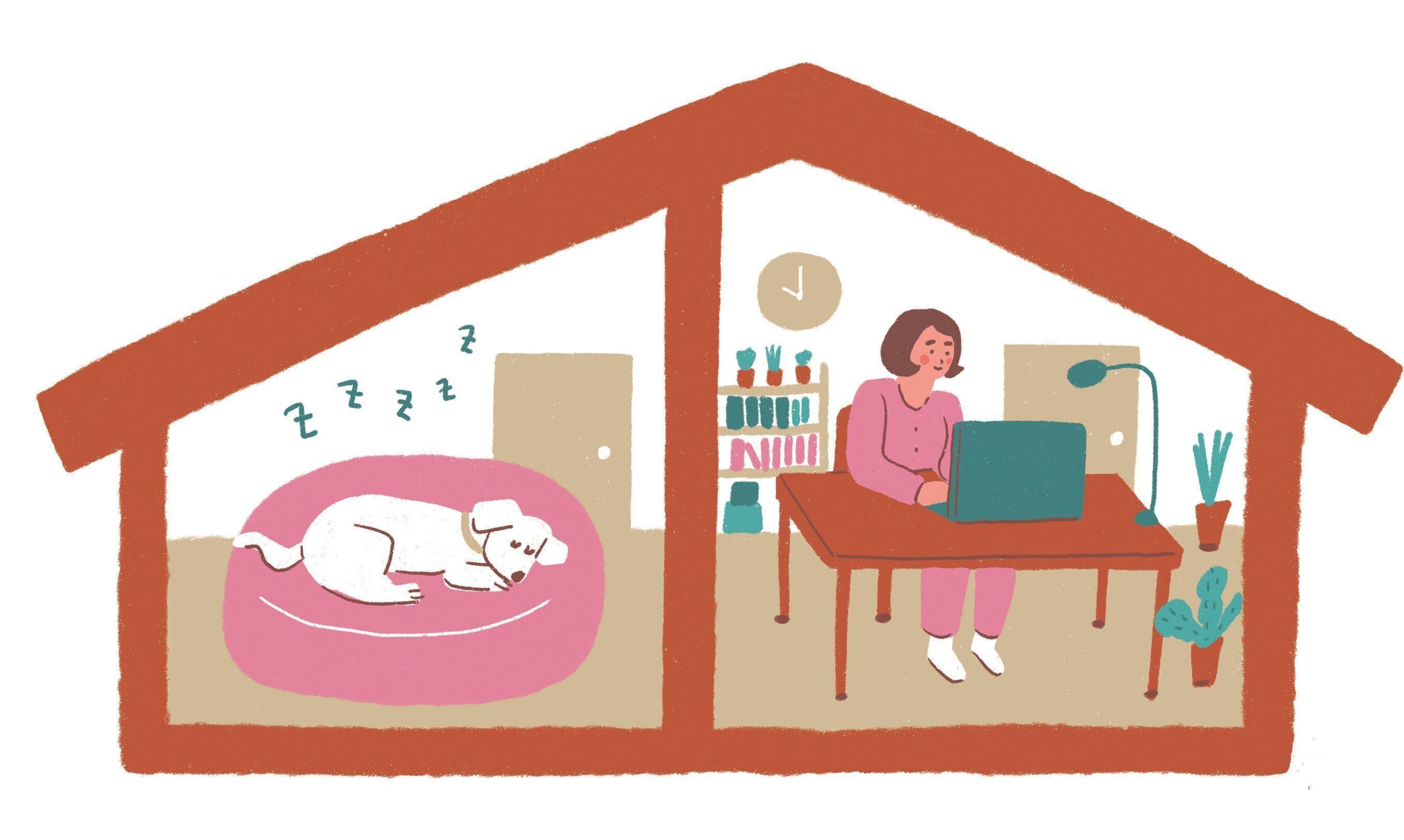 イラスト／ヤマグチカヨ