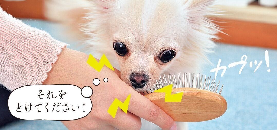 撮影／佐藤正之