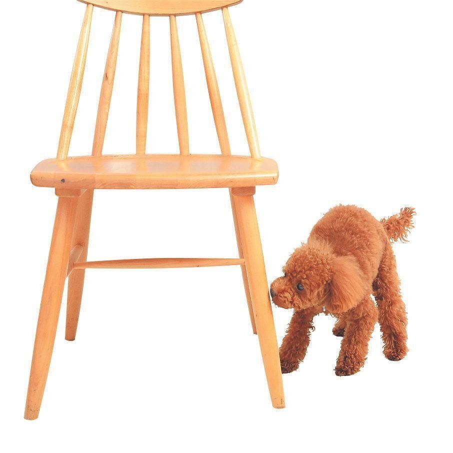 撮影／尾﨑たまき