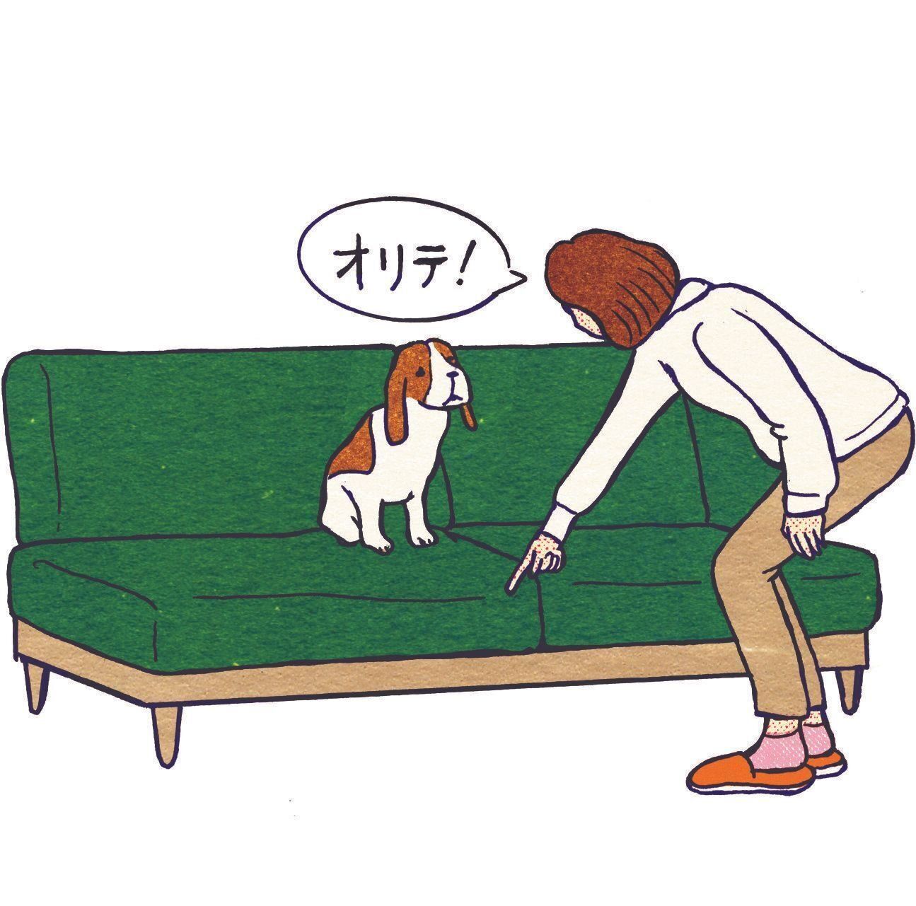 イラスト／泰間敬視