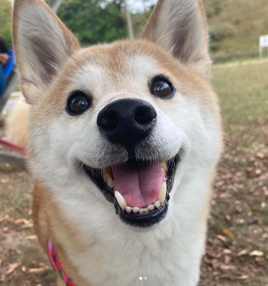 笑顔が可愛いひよりちゃん