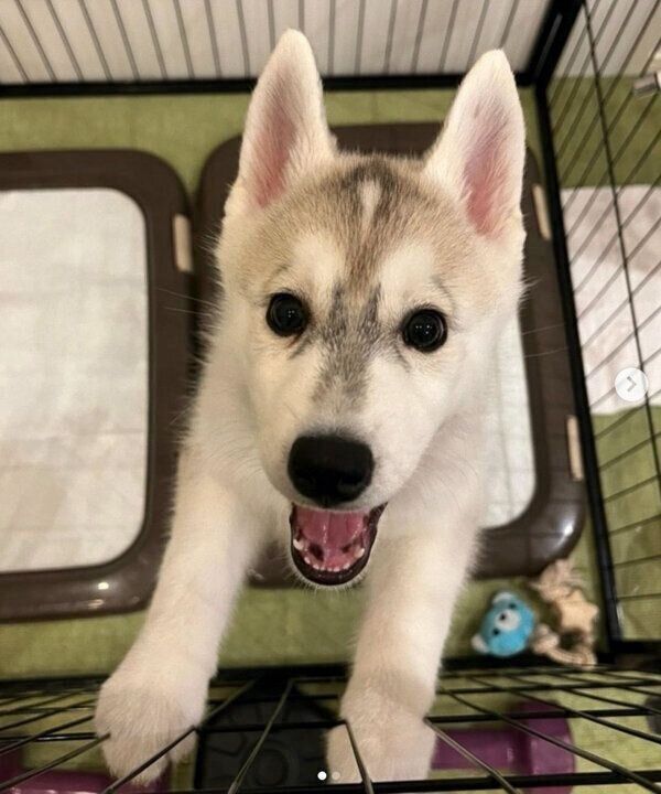 笑顔が可愛いぽぽちゃん