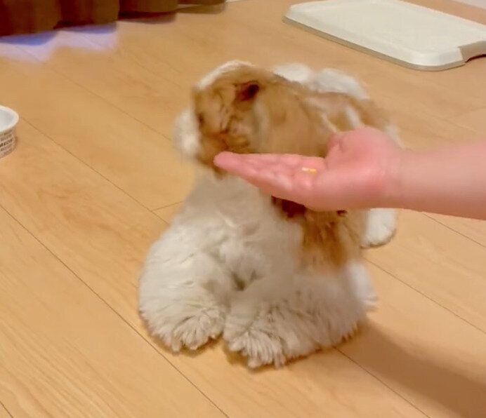 見ないふりをするぽこくん