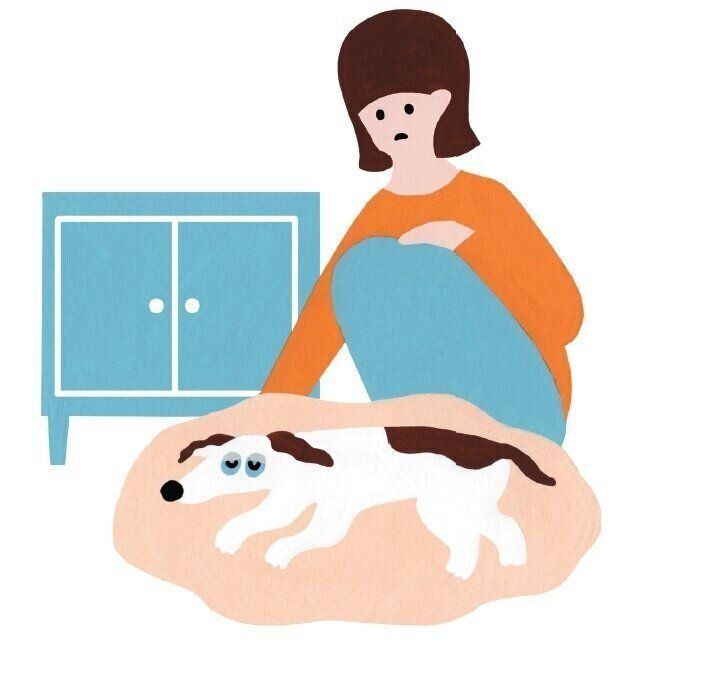 音がなるわんこ Amazon | 【T.A.L.D.B】犬 ボール 犬おもちゃ 人気 鳴る 小鳥の