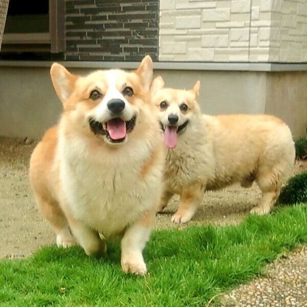 楽しそうなさんたくん、うたくん