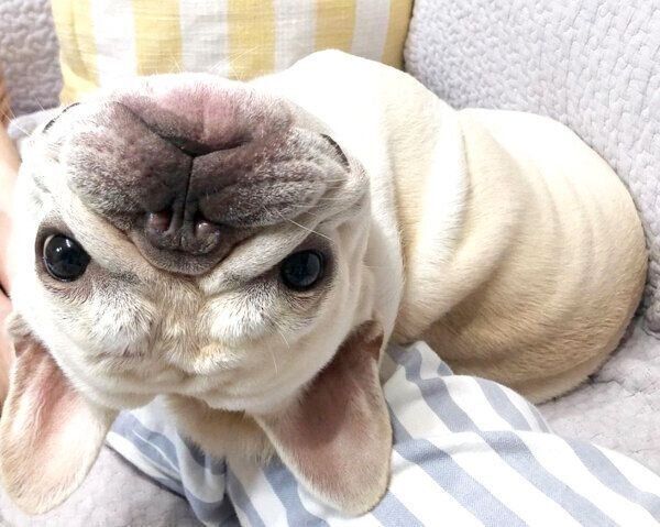 振り向く三郎くん