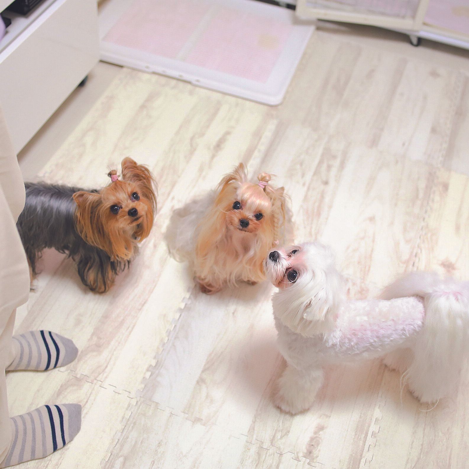 撮影／尾﨑たまき