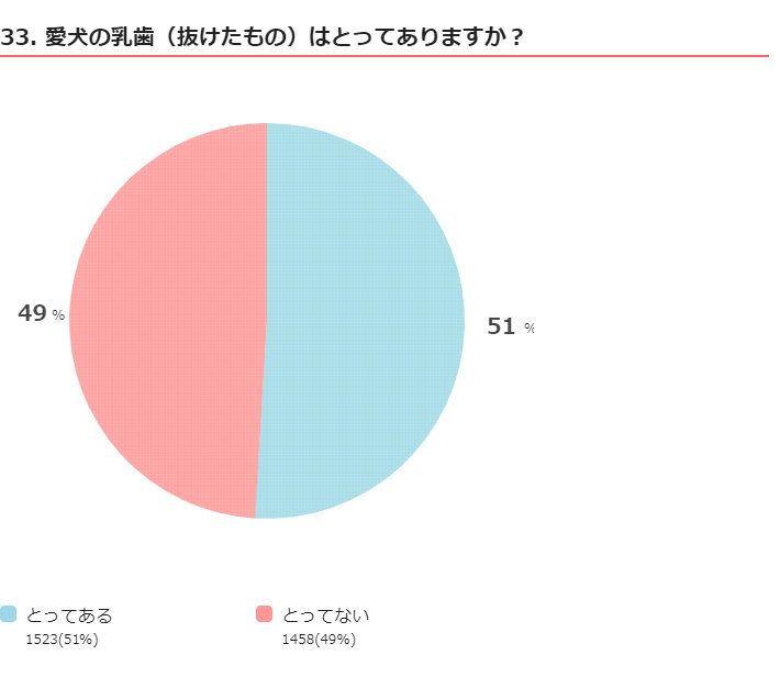 360度いぬのコト全調査