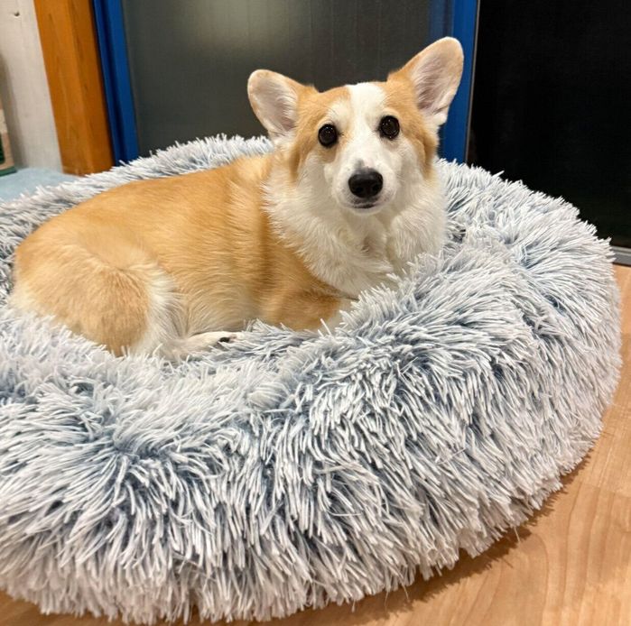 まったりするつむぎちゃん
