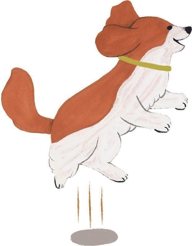 イラスト／macco