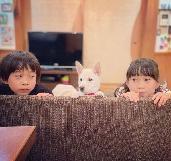 チルちゃんとお子さんたち