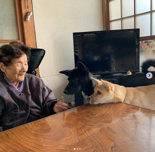 おばあちゃんと初対面したときのターシャちゃんとハチちゃん