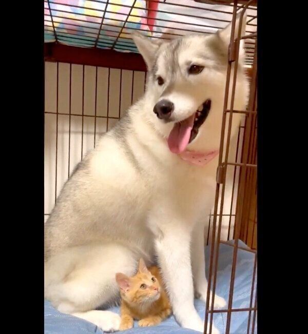 仲良しなユキちゃんとレンちゃん