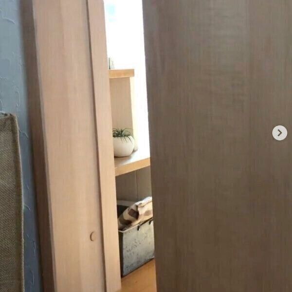 飼い主さんがおやつタイムを知らせると…