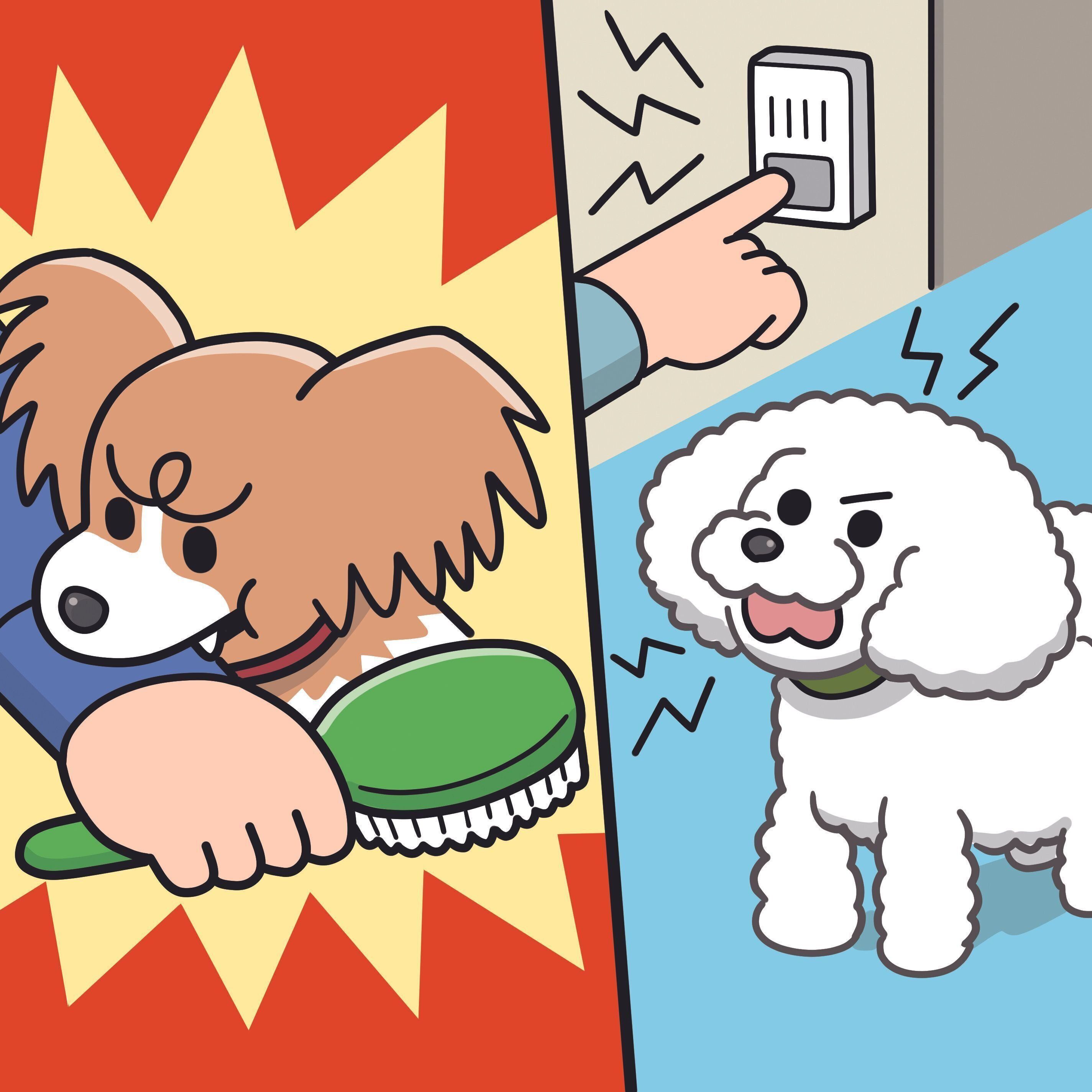 イラスト／コルシカ