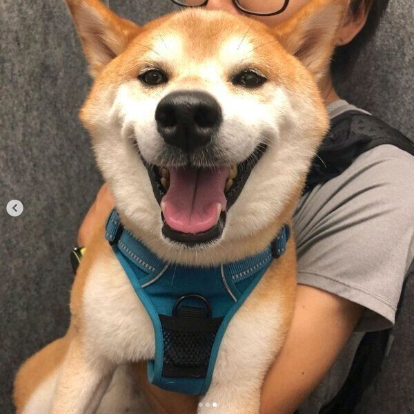 抱っこが大好きな咲ク太郎くん