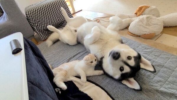 くつろぐはっちゃんとじゅんちゃん