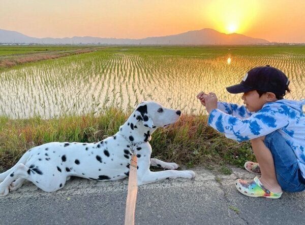 お散歩中のラヴィくん