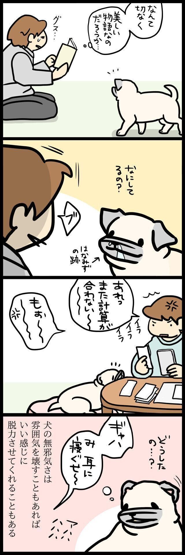 【連載】パグ犬めー