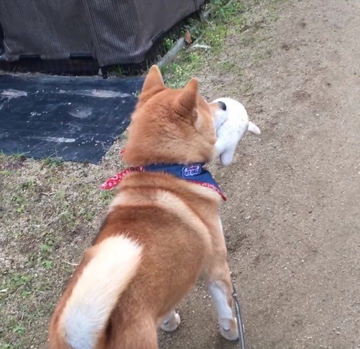 侵入者を発見したてつくん