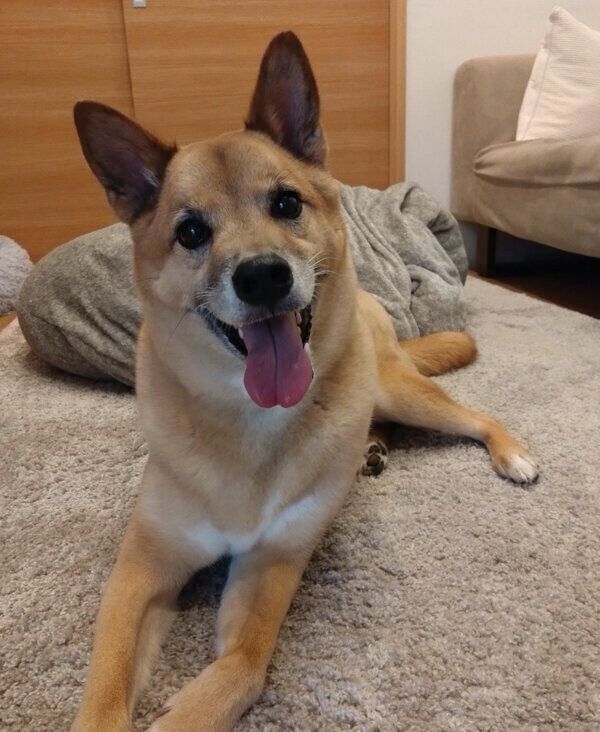 笑顔が可愛いコタロウくん