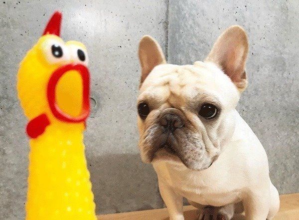 おもちゃを見つめる三郎くん