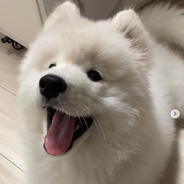 笑顔満点のエデンちゃん