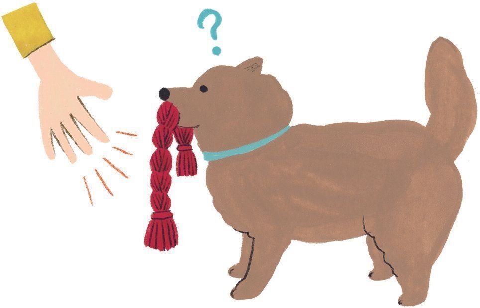 イラスト／macco