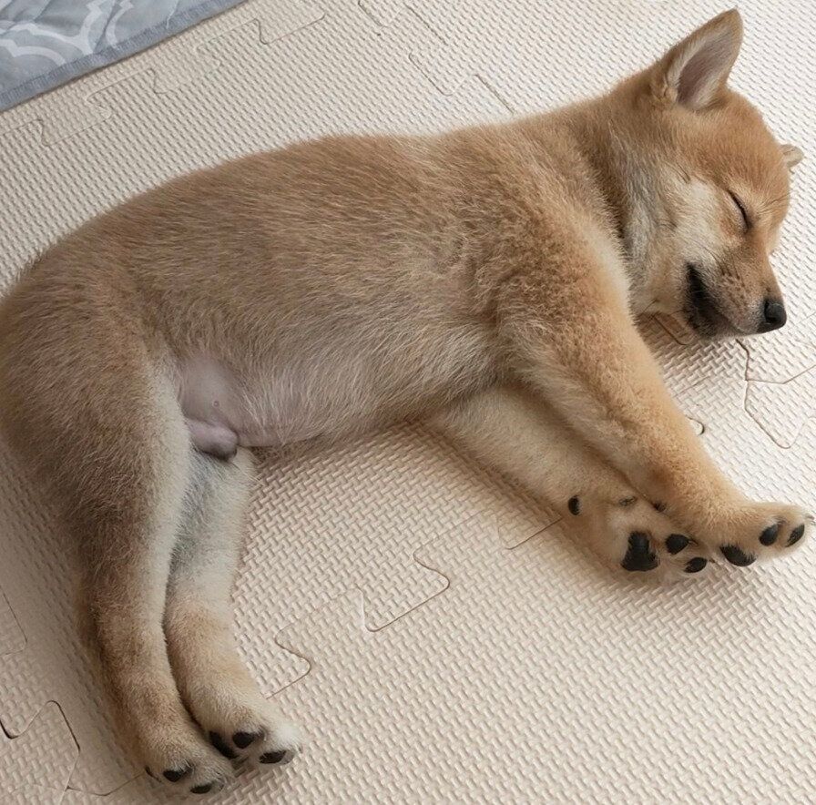 お迎え直後のけんたくん