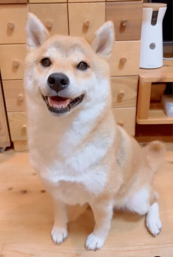 笑顔が可愛いユクちゃん