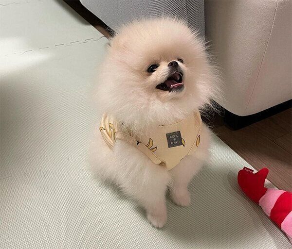 笑顔のむうちゃん