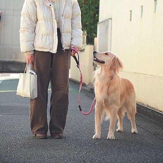 リードは少したわむぐらいの長さで持つ